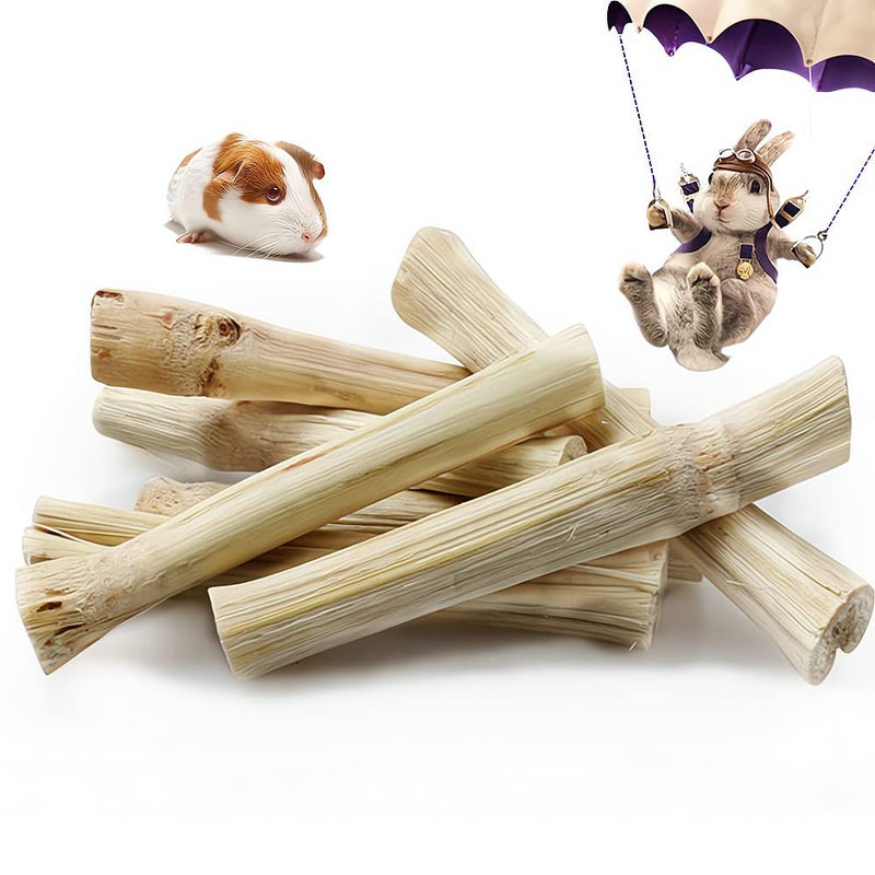 Dbeans Flourithing 300g/10.5oz Bamboo Sticks for Rabbits - Rabbit Chew Toys for Teeth with Rabbit Treats Included - Durable Chew Sticks for Hours of Fun - Image 3
